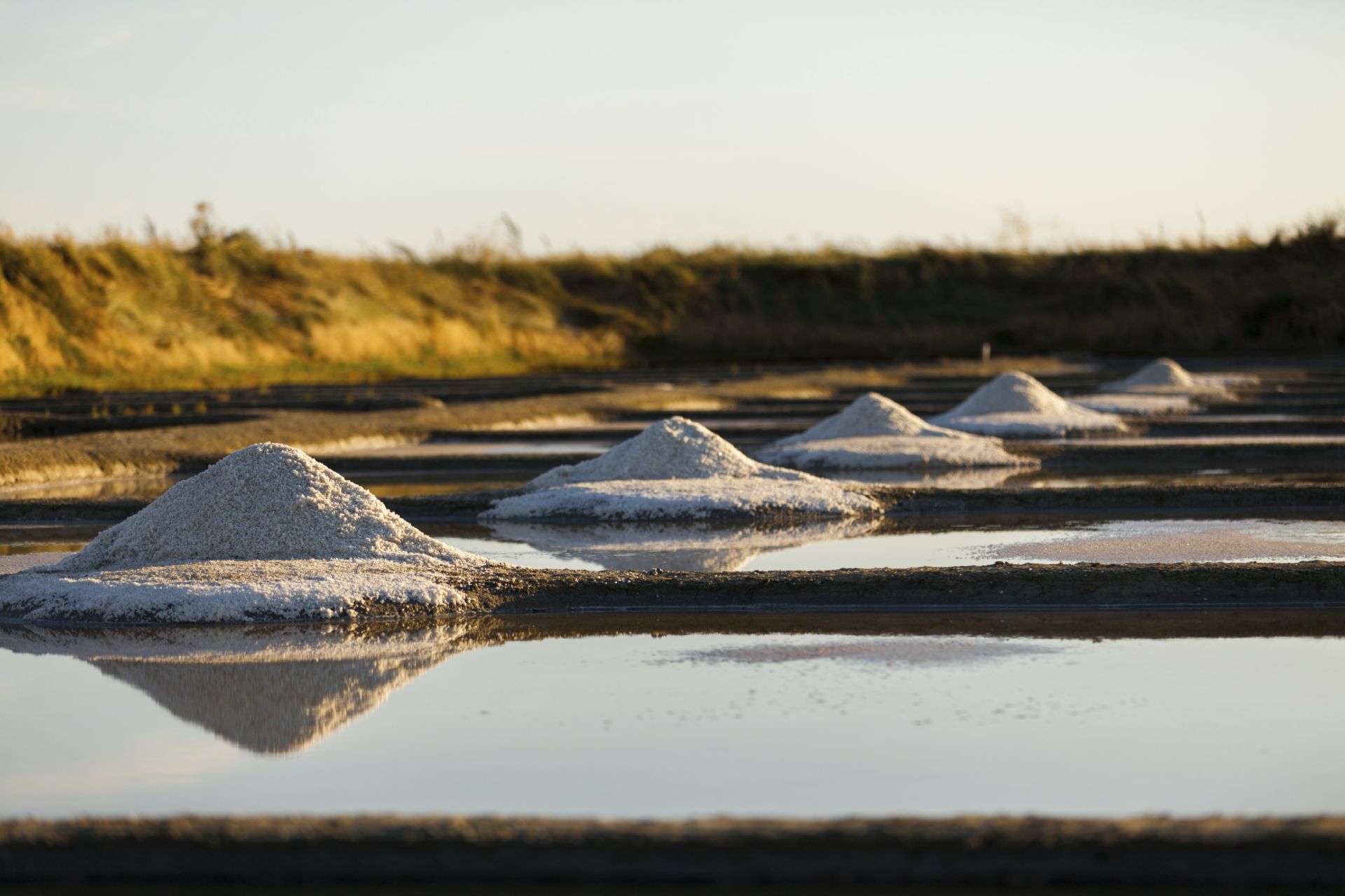 Sel sans sodium : qu'est-ce que ça vaut ? - La Quotidienne - Extrait vidéo  La quotidienne